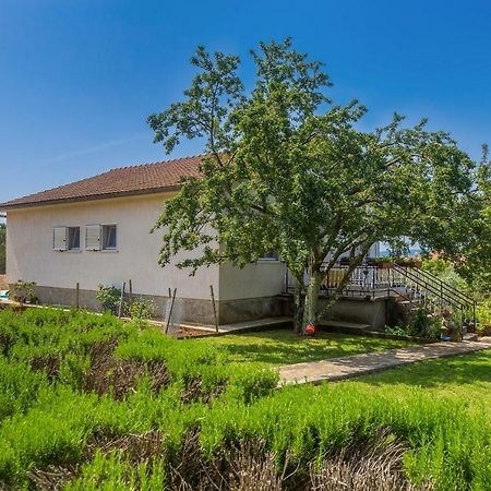 Apartments Marica Skrbčići Eksteriør bilde
